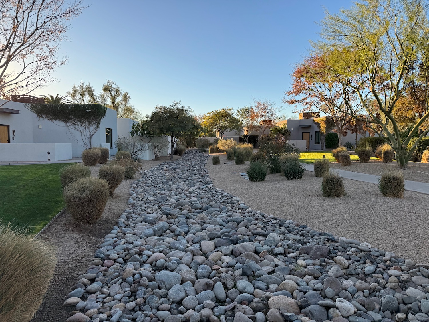 a river bed of rocks and bushes