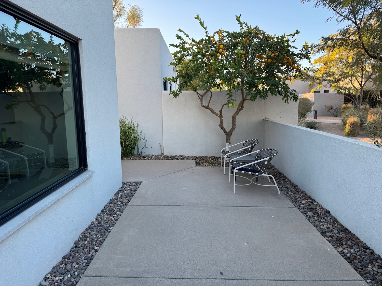 a patio with chairs and a tree