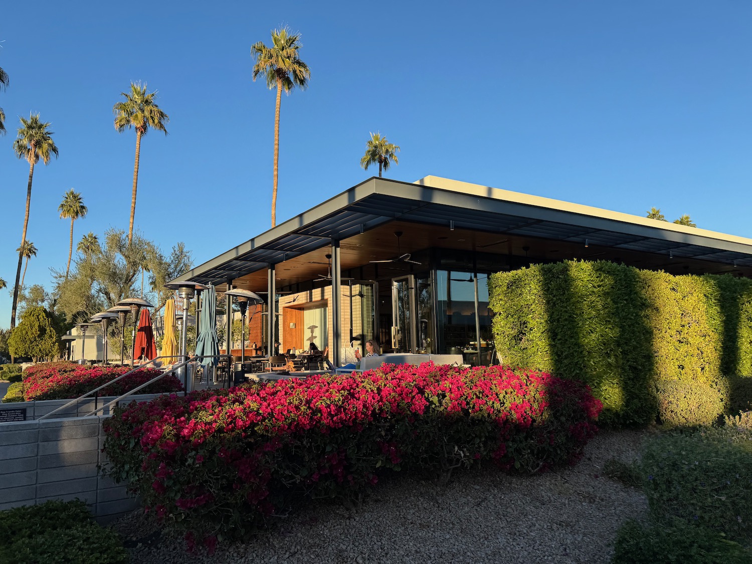 a building with a roof and bushes and palm trees