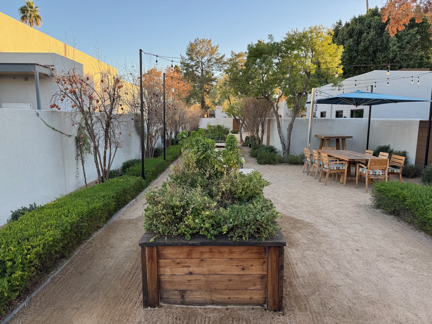 a garden with a table and chairs