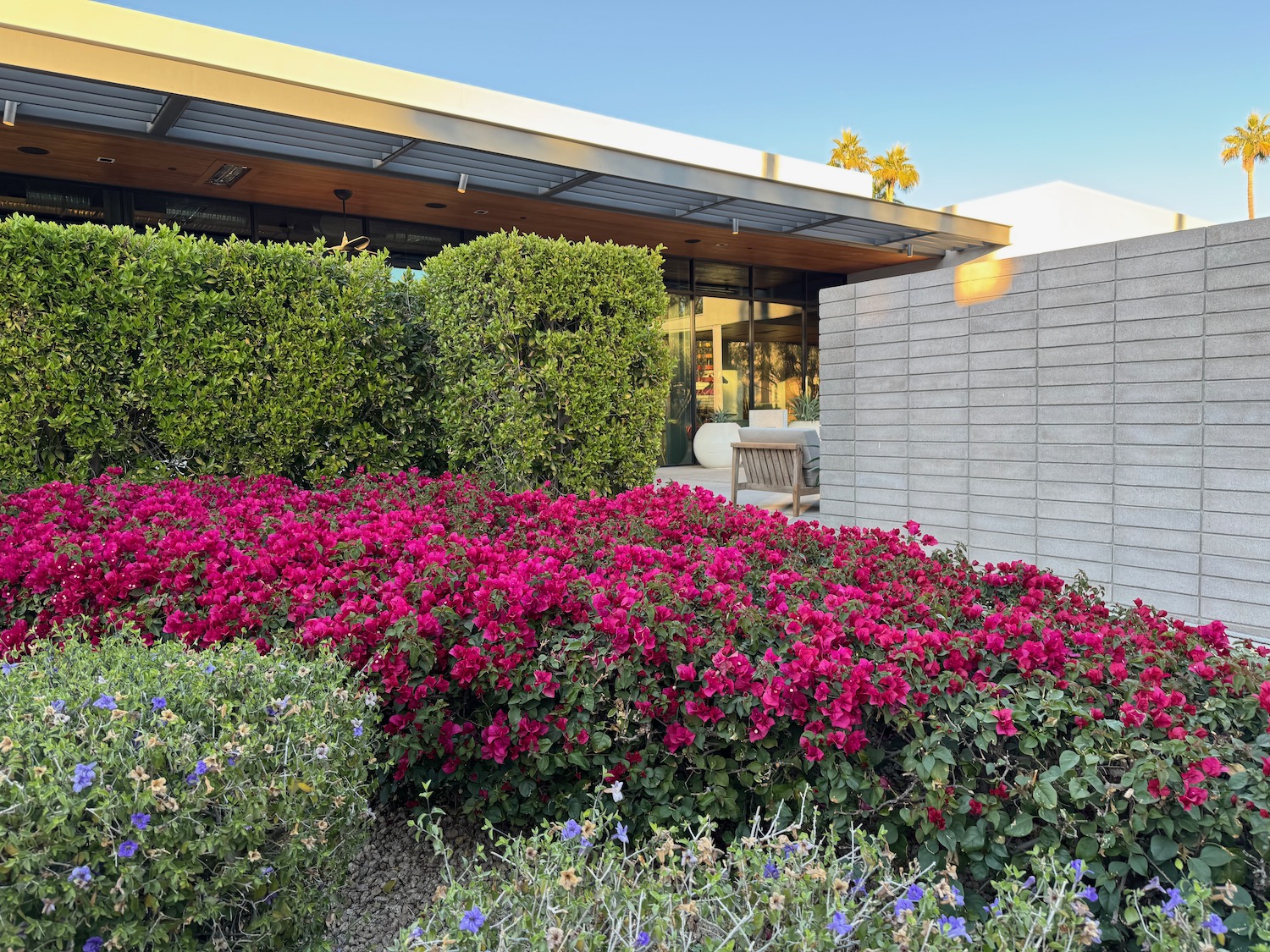 a building with a garden and bushes