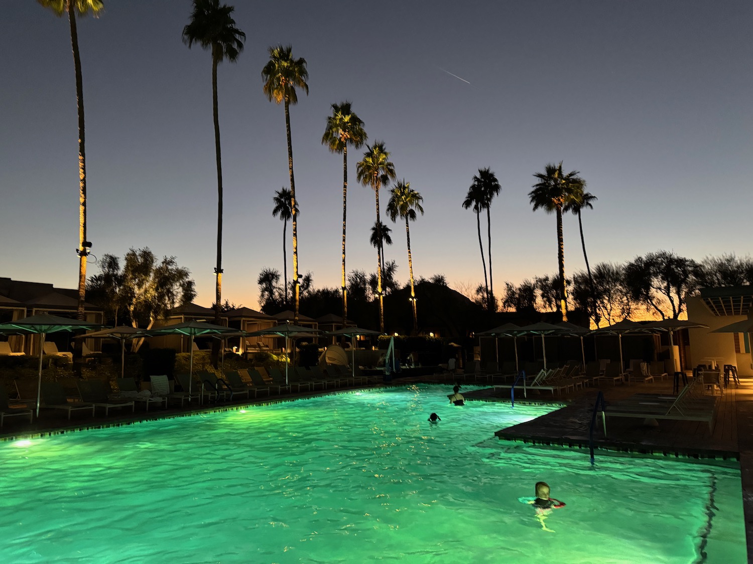 a pool with palm trees and a group of people in it