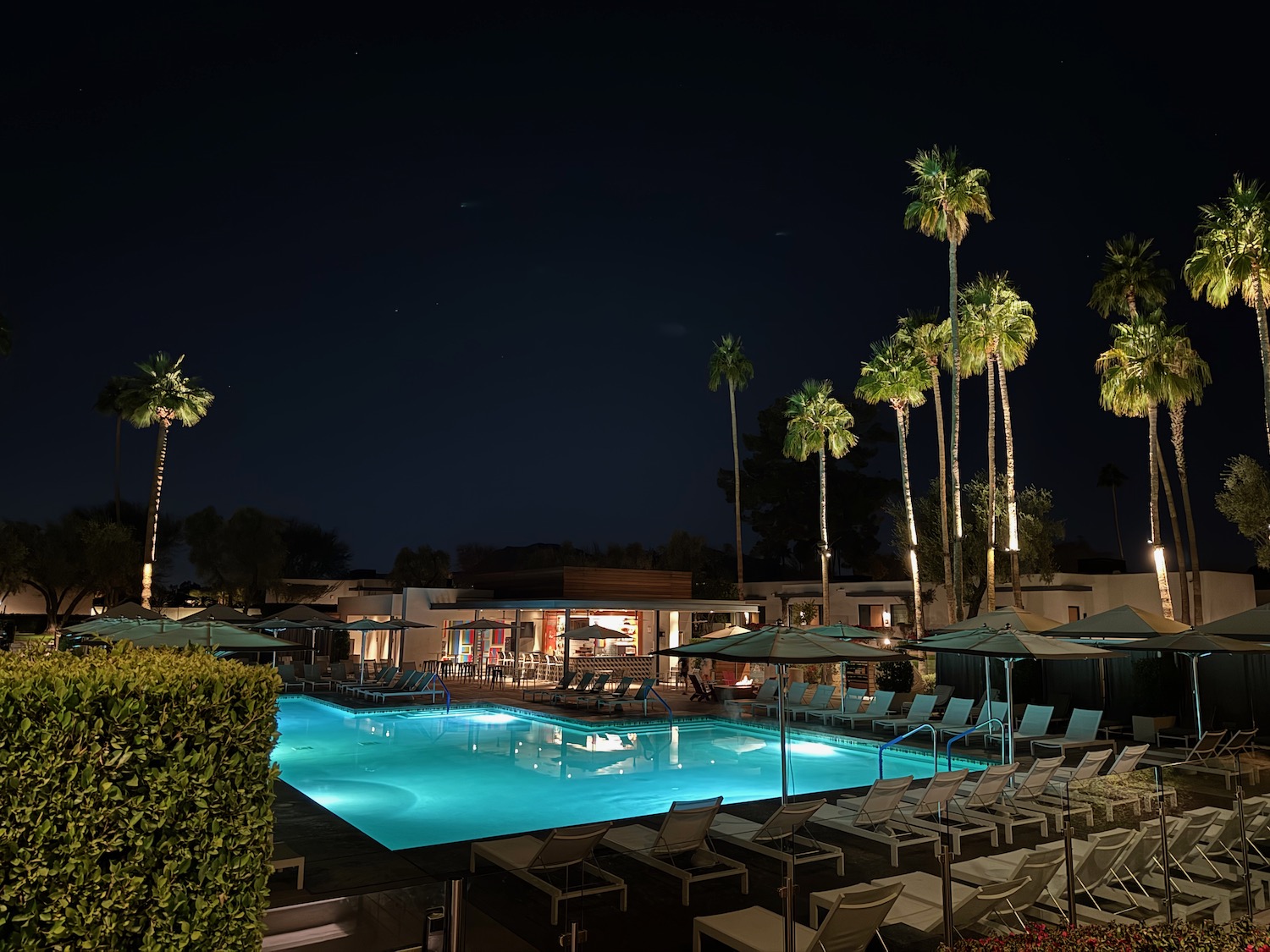 a pool with palm trees and a building at night