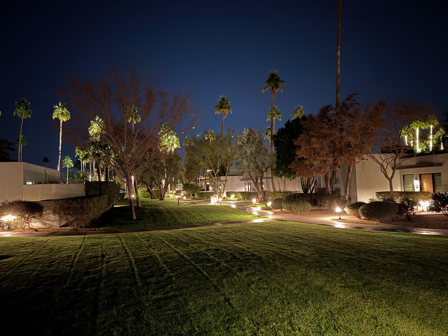 a lawn with trees and bushes at night