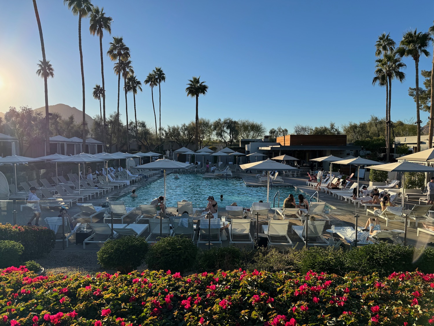 a pool with umbrellas and chairs and palm trees