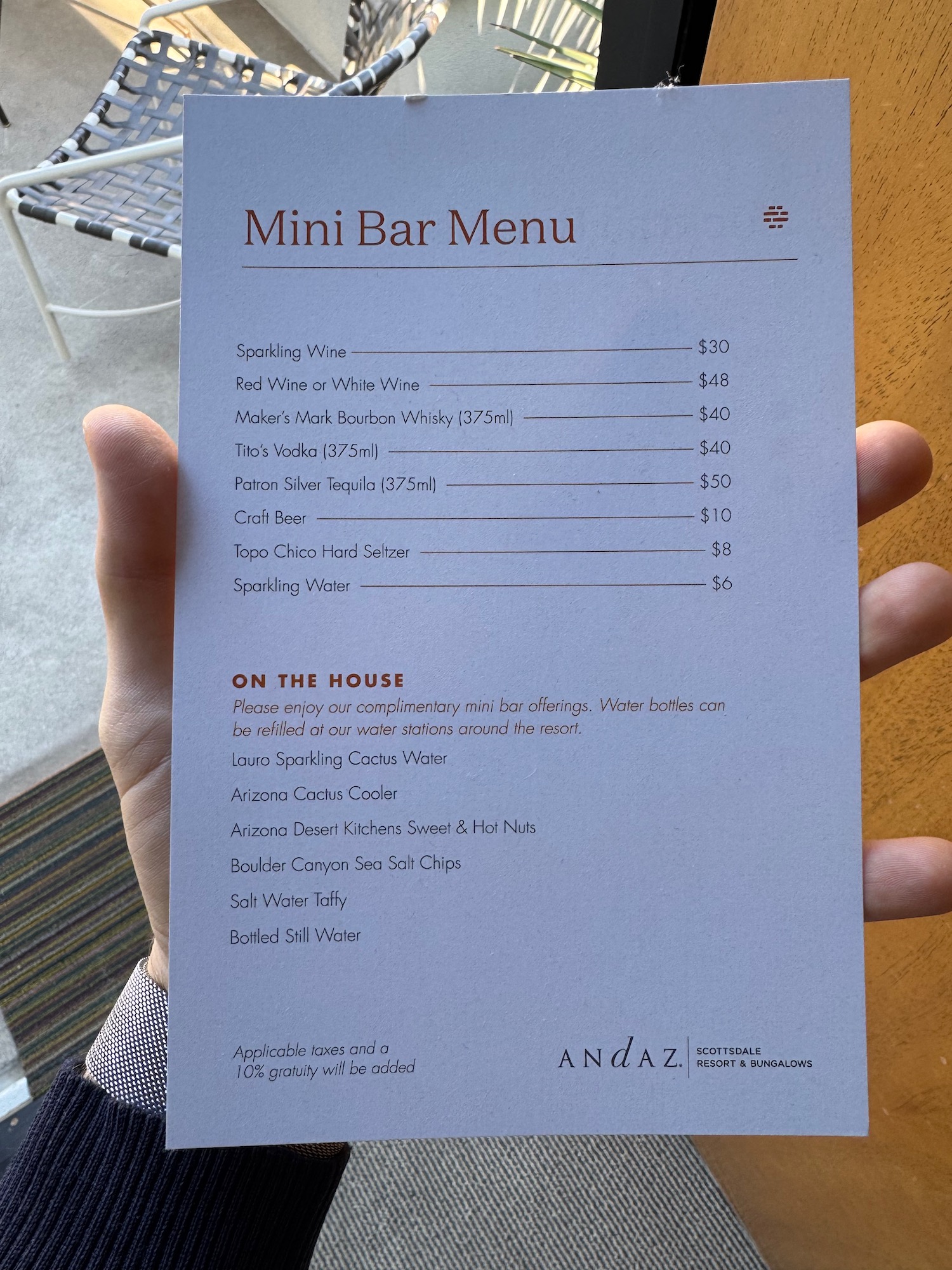 a hand holding a menu