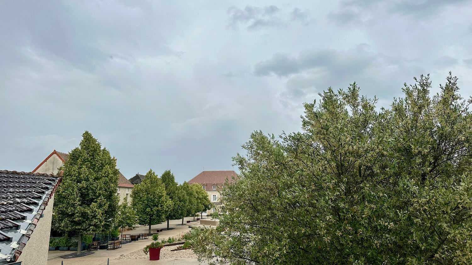 a street with trees and buildings