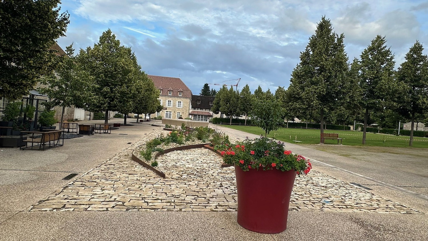 a potted plant with flowers on a brick walkway