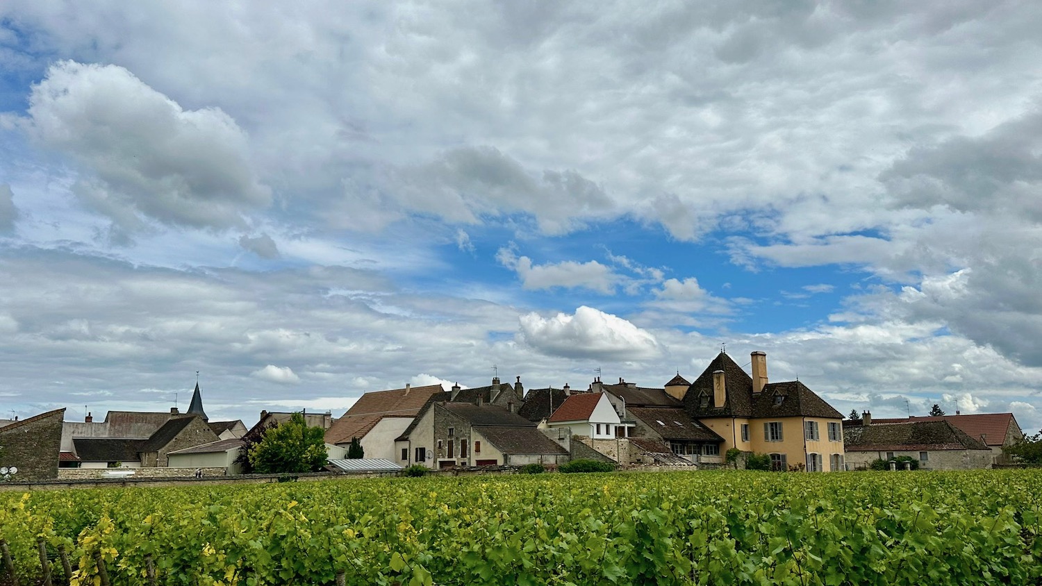 a group of houses in a field