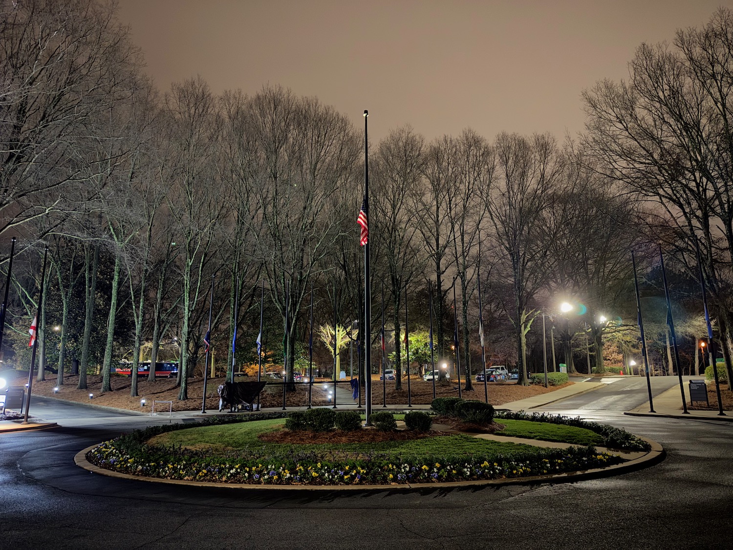 a flag pole in a circle with trees and a street at night