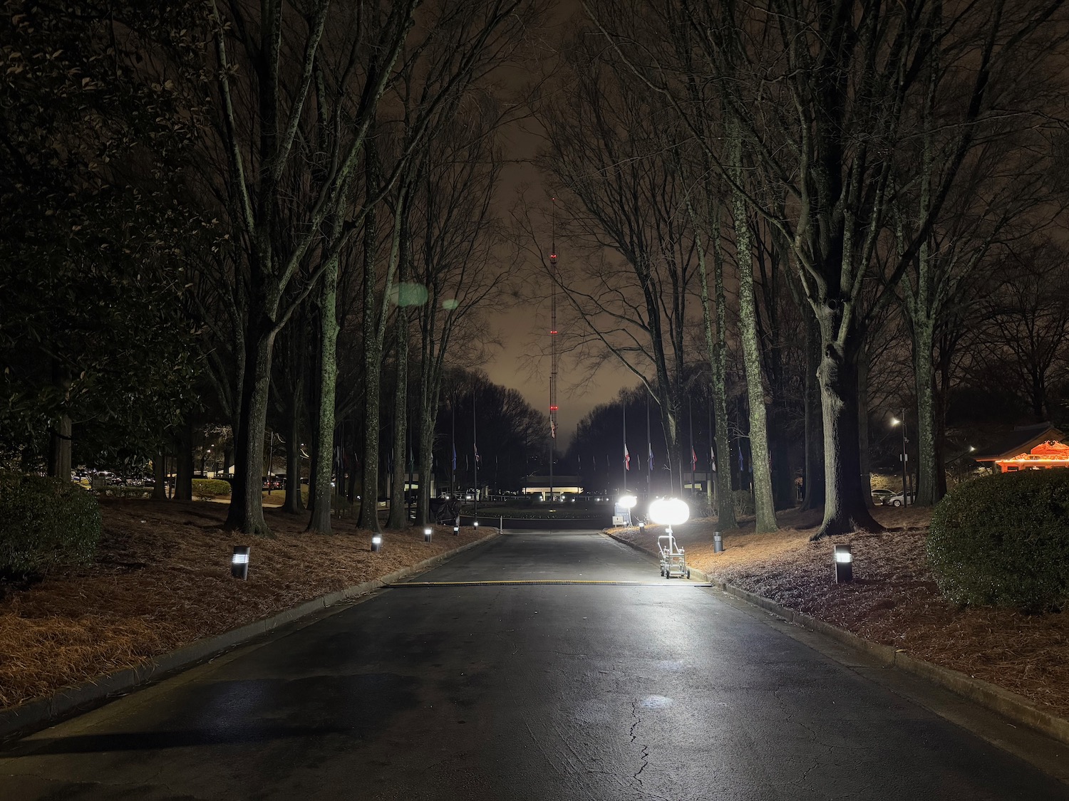 a road with trees and lights at night