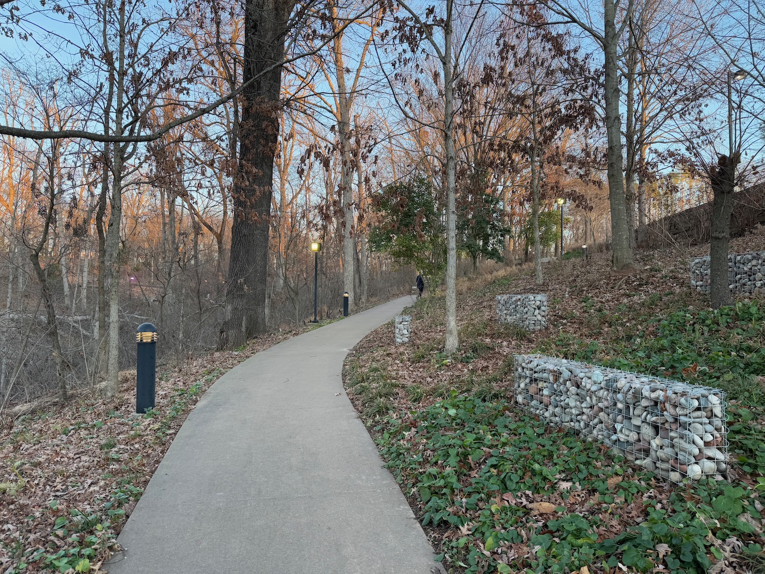 a path in a park