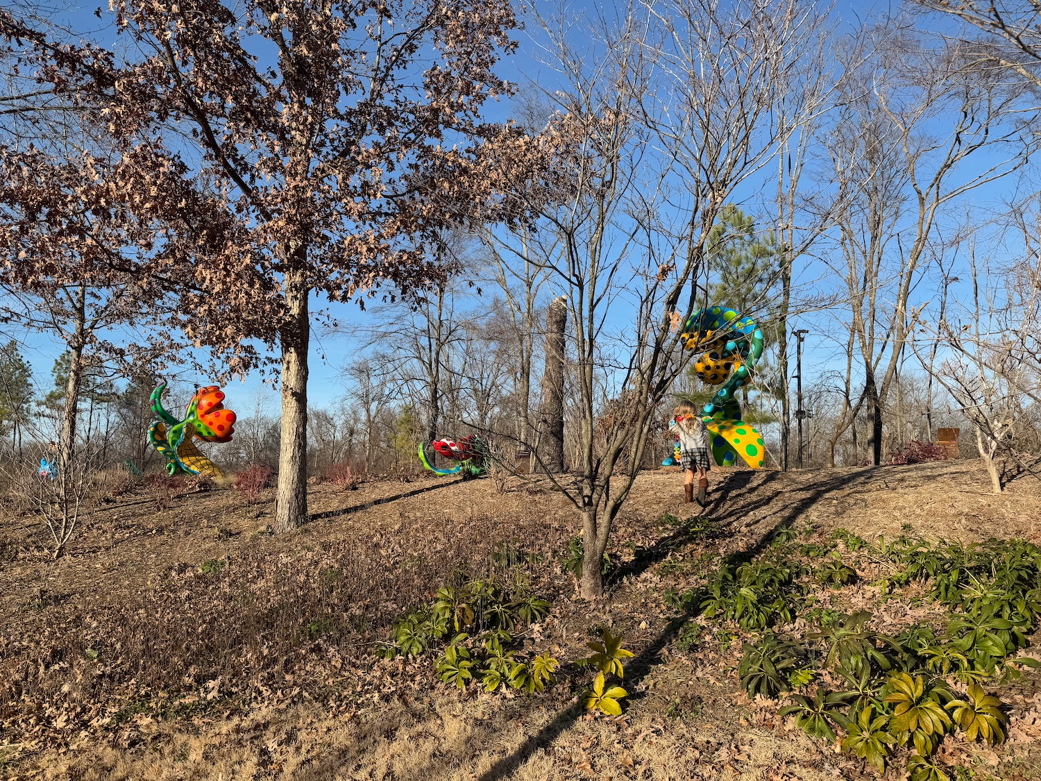 a group of people in a park