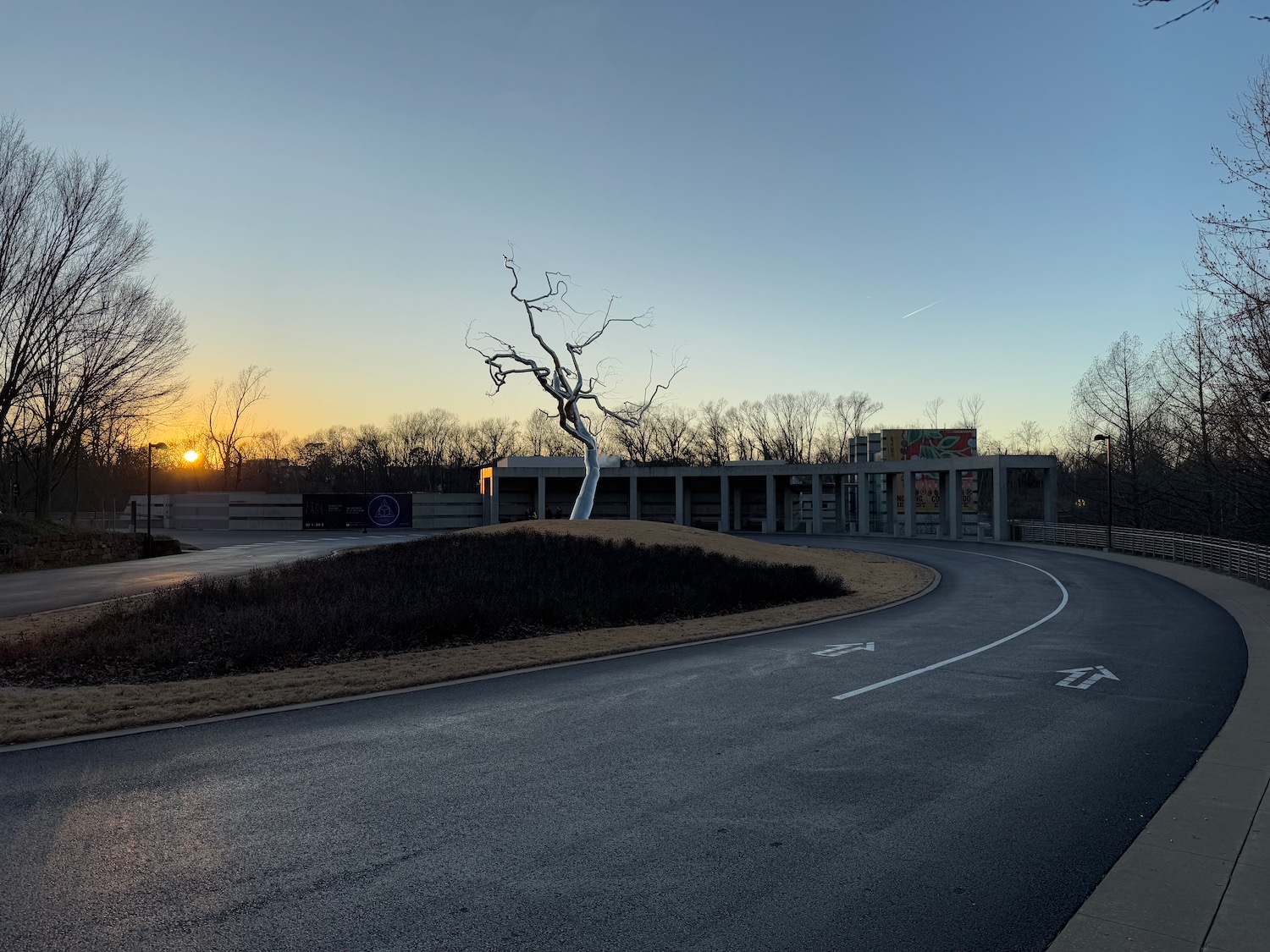 a curved road with a tree in the middle