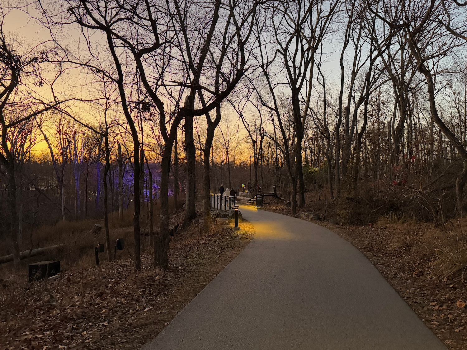 a path with trees and a sunset