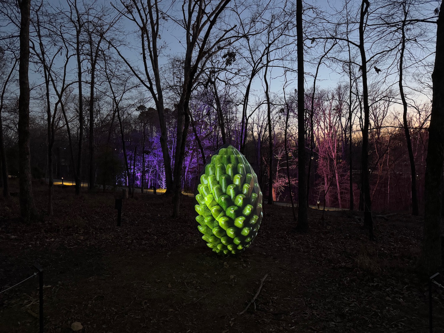 a green pine cone shaped object in a forest