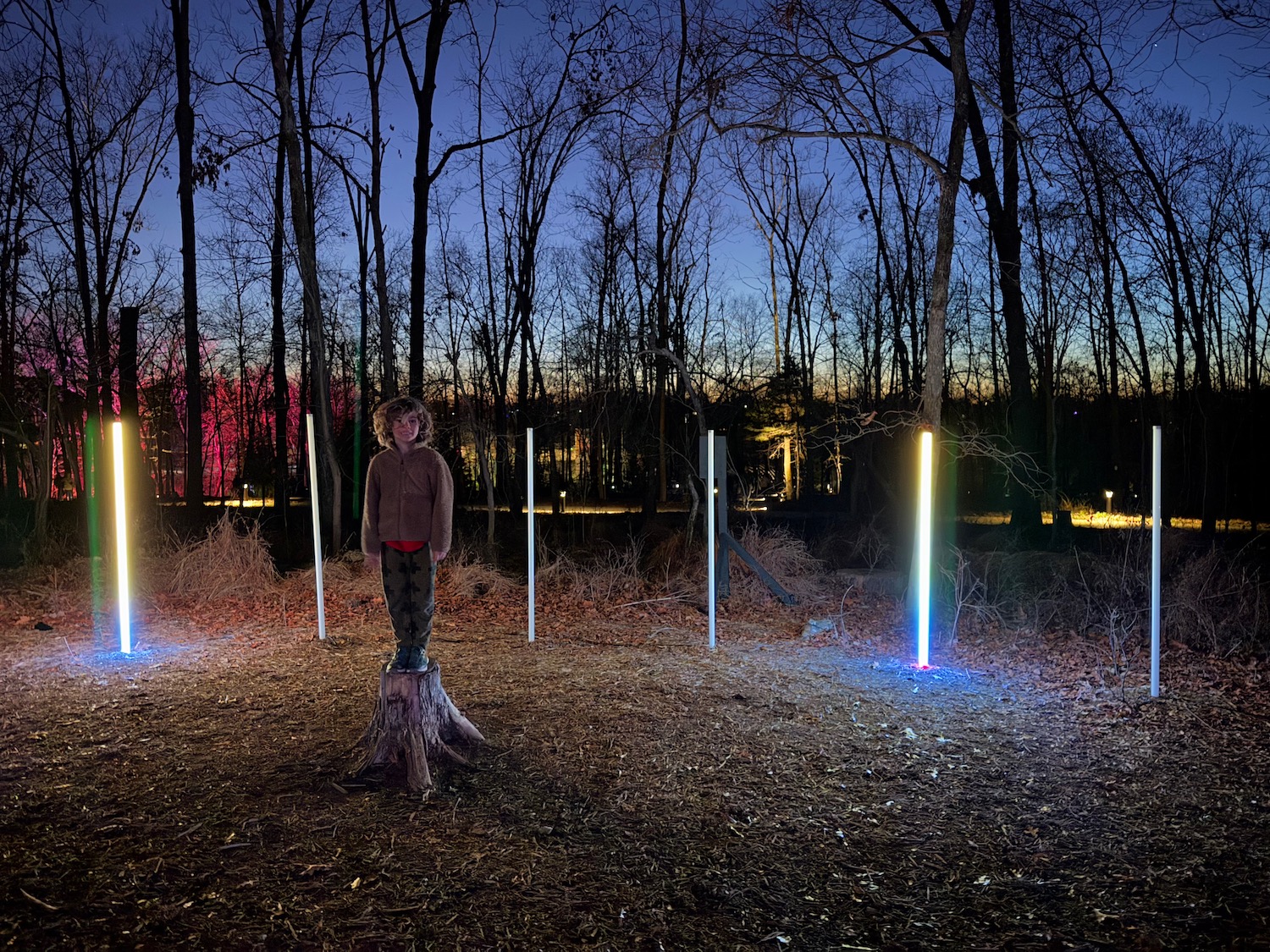 a person standing on a stump with light sticks in the background