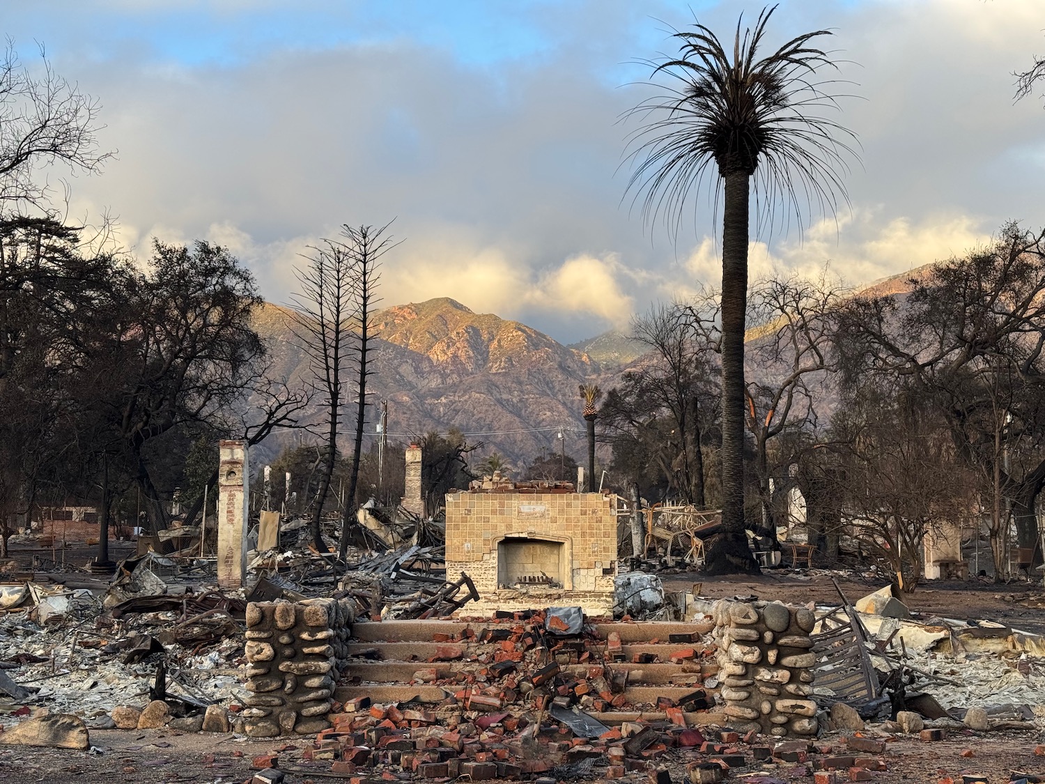 a destroyed building with a pile of bricks and a palm tree