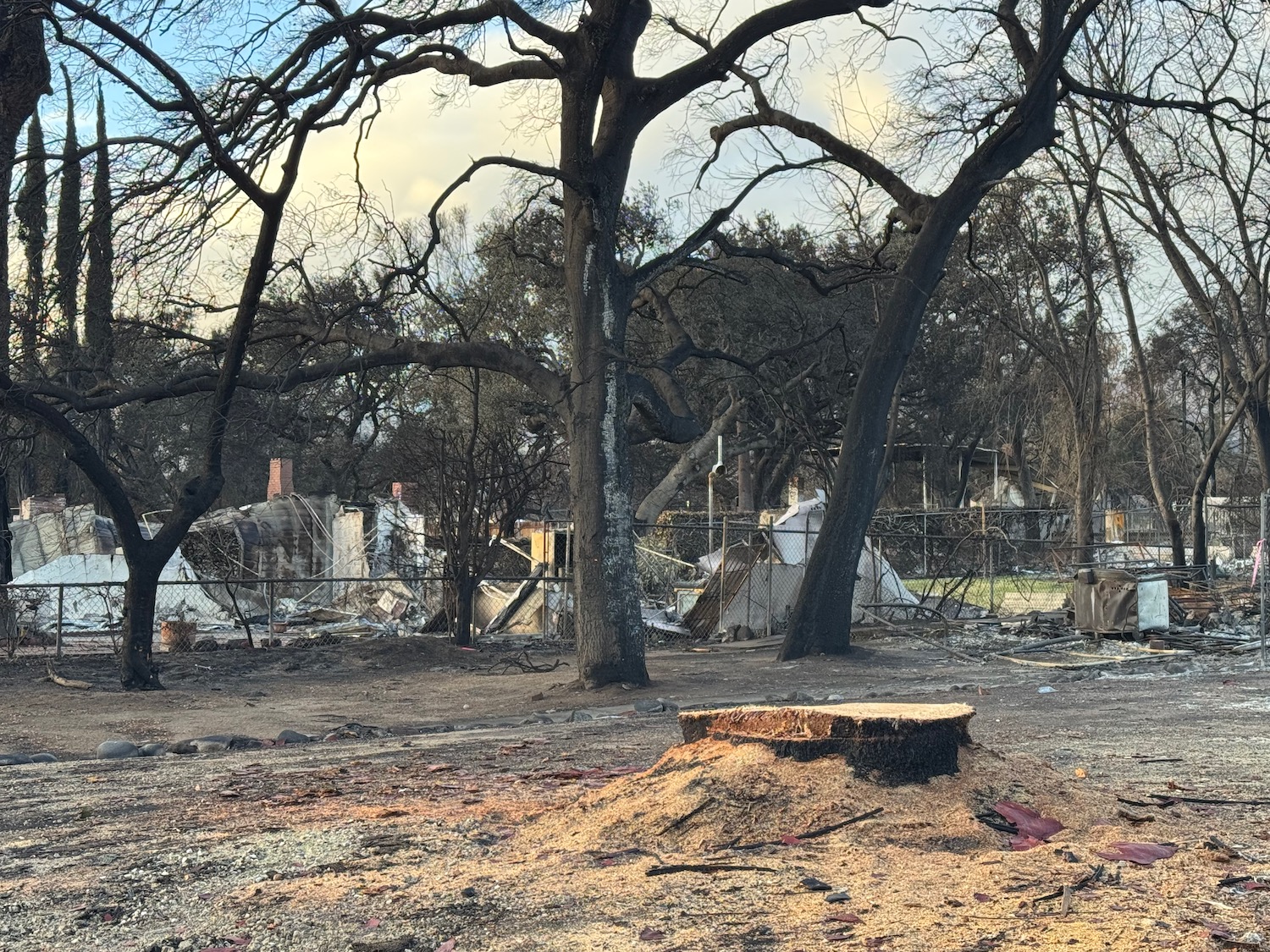 a tree stump in a dirt field with a group of buildings in the background