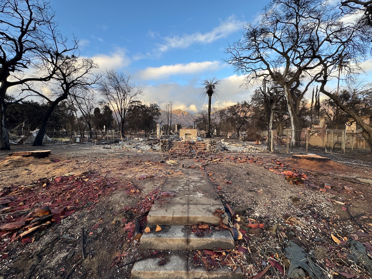 a destroyed area with a few stairs and trees