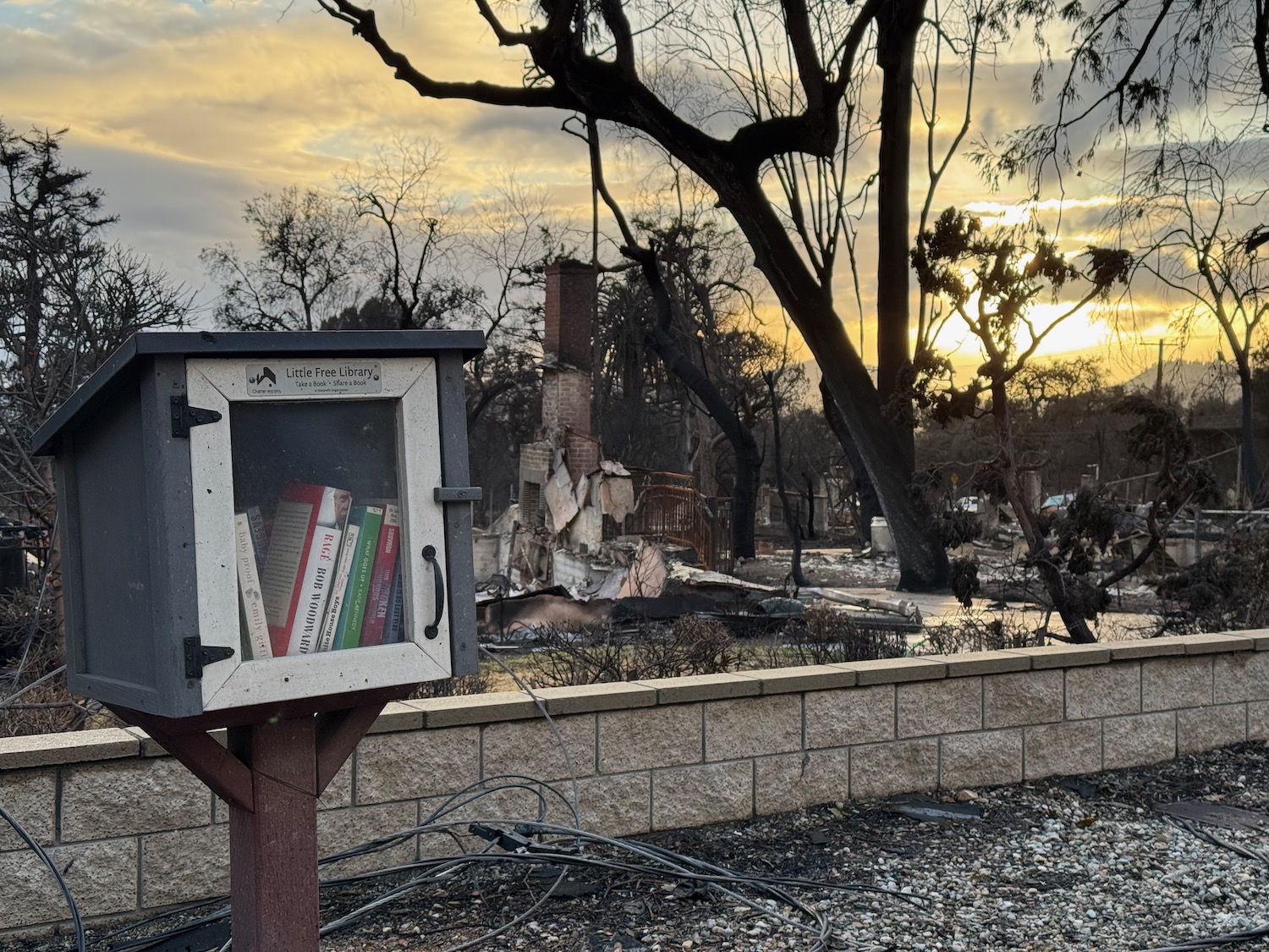 a book box in a burned house