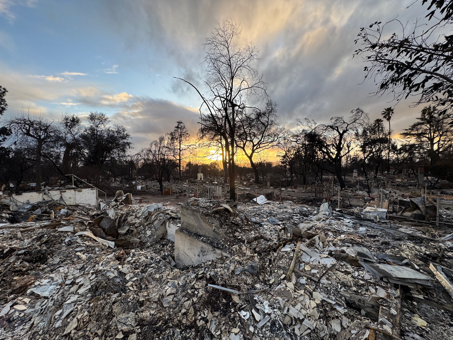 a burned out area with trees and a sunset