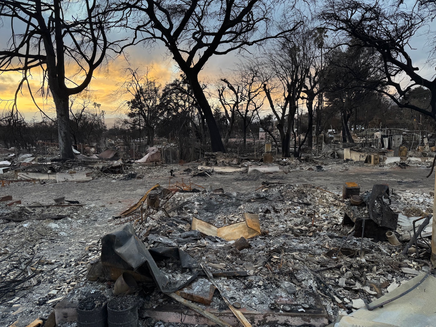 a burned area with trees and a sunset