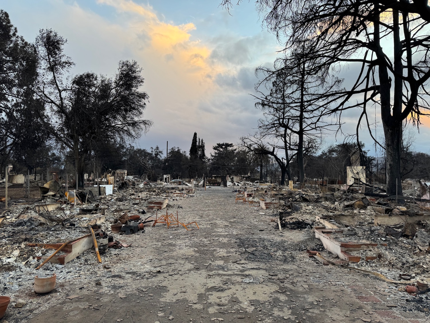 a burned out area with trees and a cloudy sky