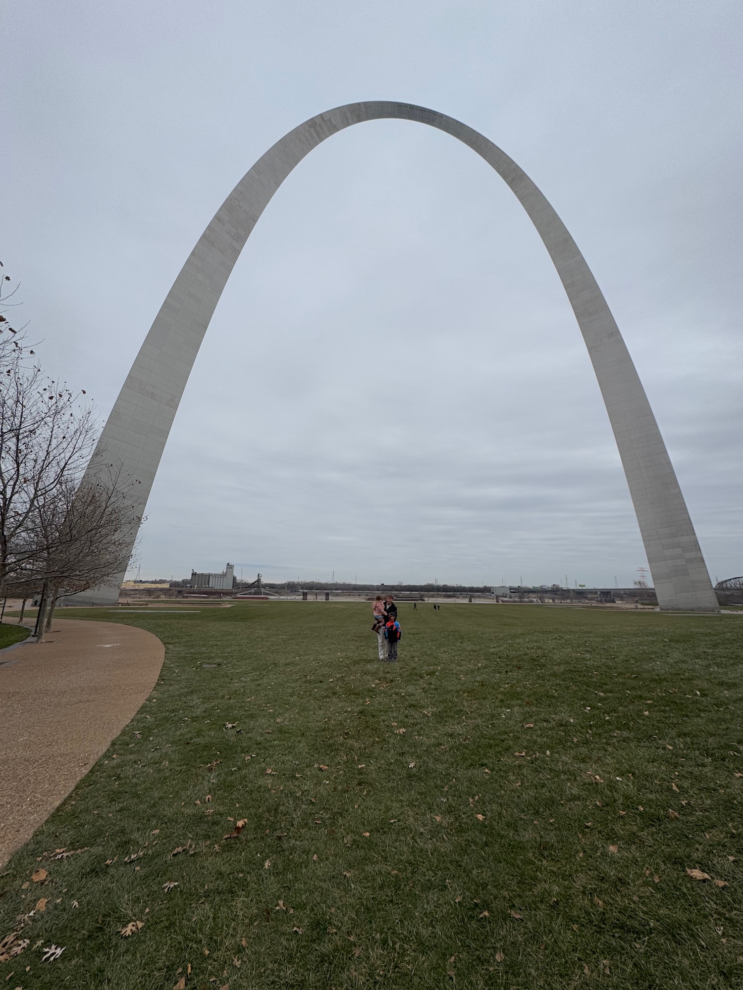 a couple standing in a grassy field with a large arch with Gateway Arch in the background