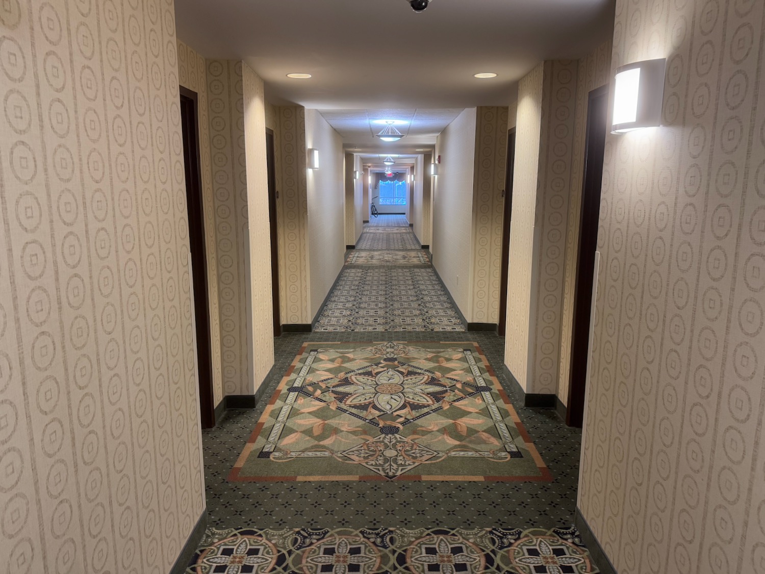 a hallway with a patterned carpet