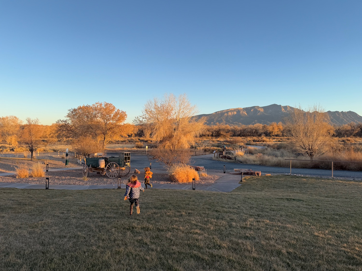 a group of kids running in a field