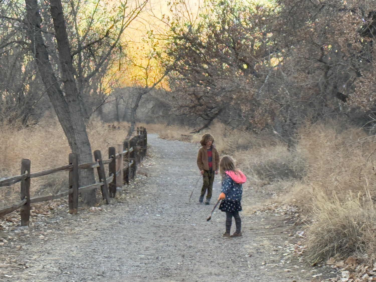 a group of people walking on a path