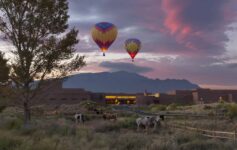 a group of hot air balloons in the sky