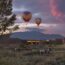 a group of hot air balloons in the sky