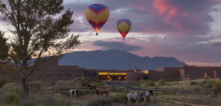 a group of hot air balloons in the sky