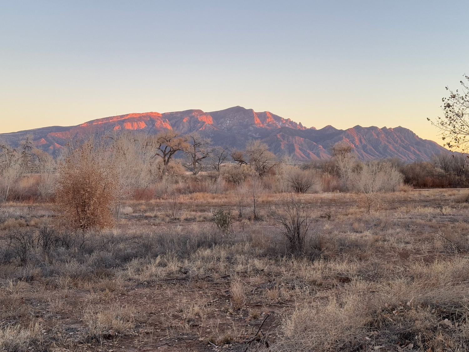 a landscape with a mountain in the background