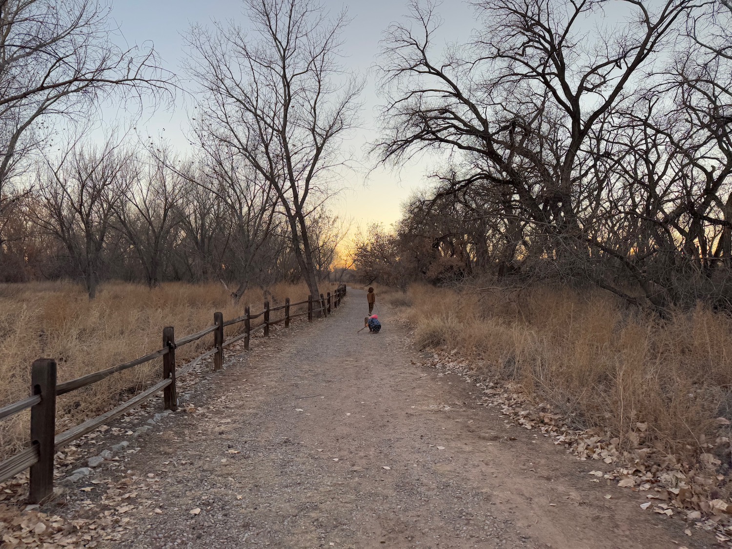 a person walking a dog on a dirt path with trees and a fence