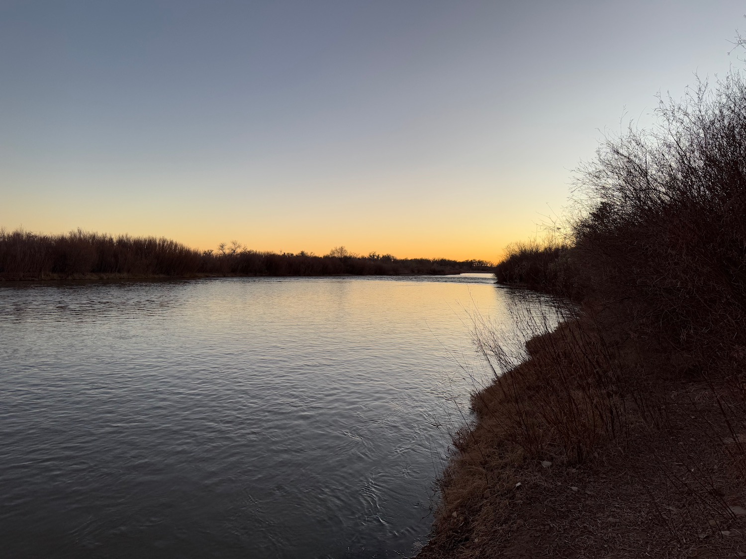 a body of water with trees and bushes