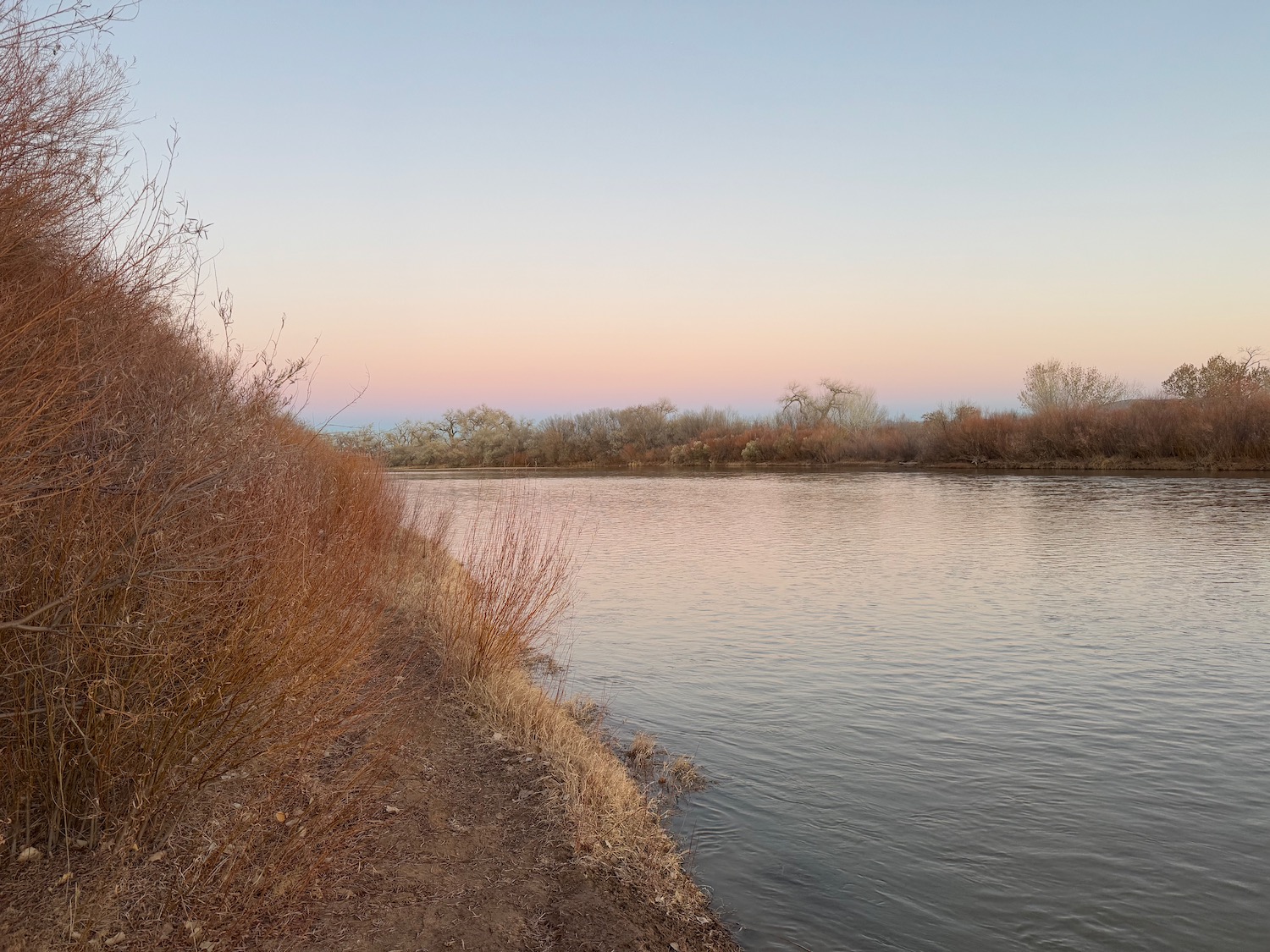 a river with a body of water and bushes