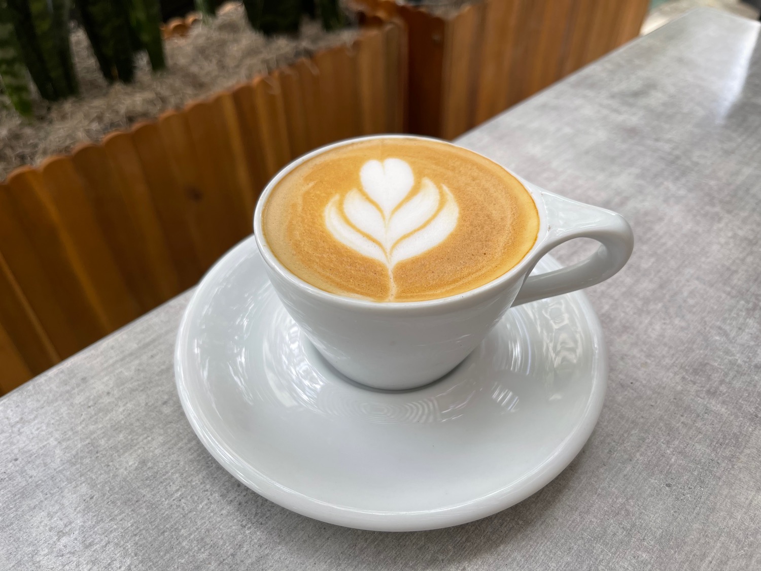 a cup of coffee with a leaf design in the foam