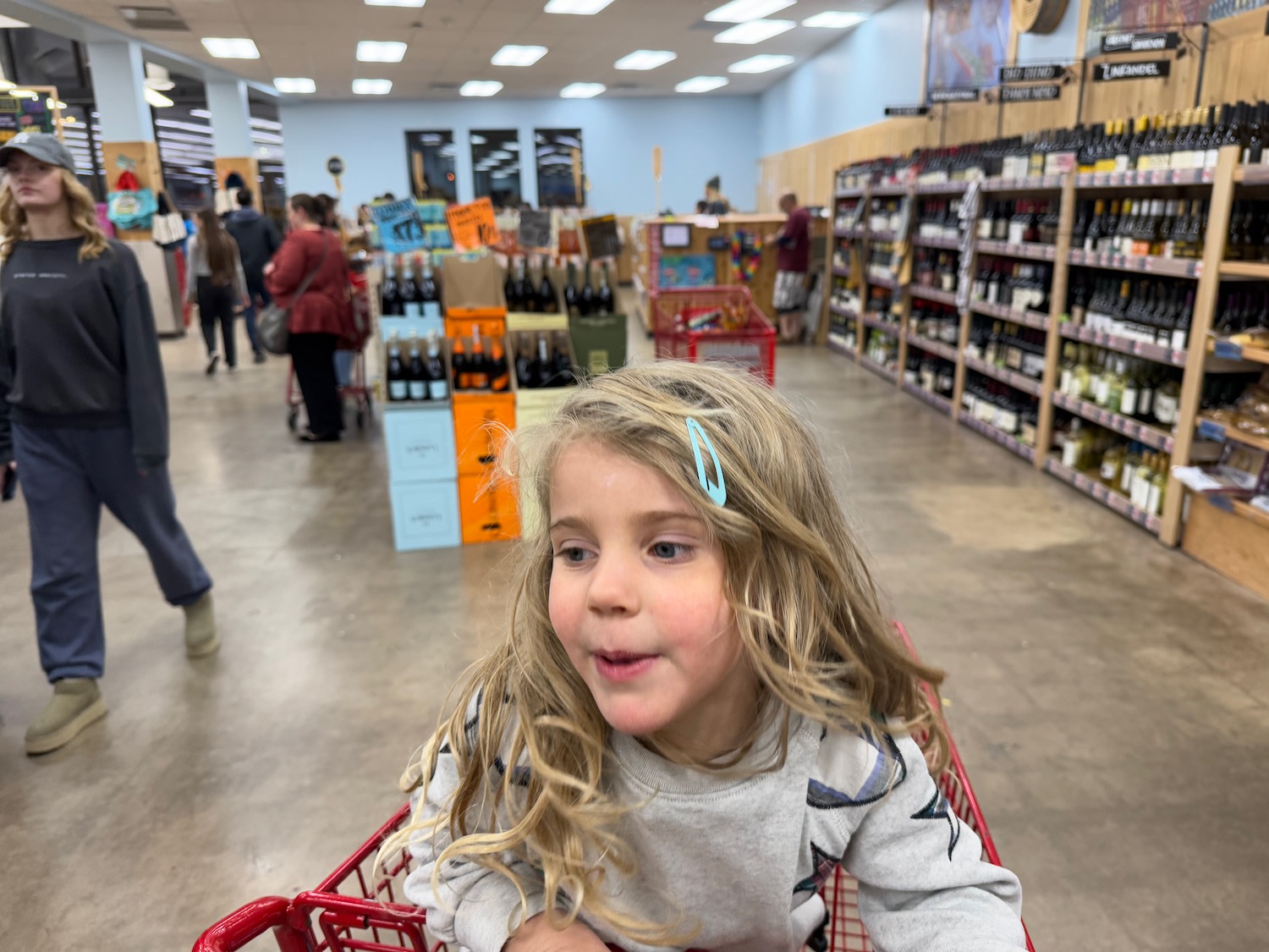 a girl sitting in a shopping cart