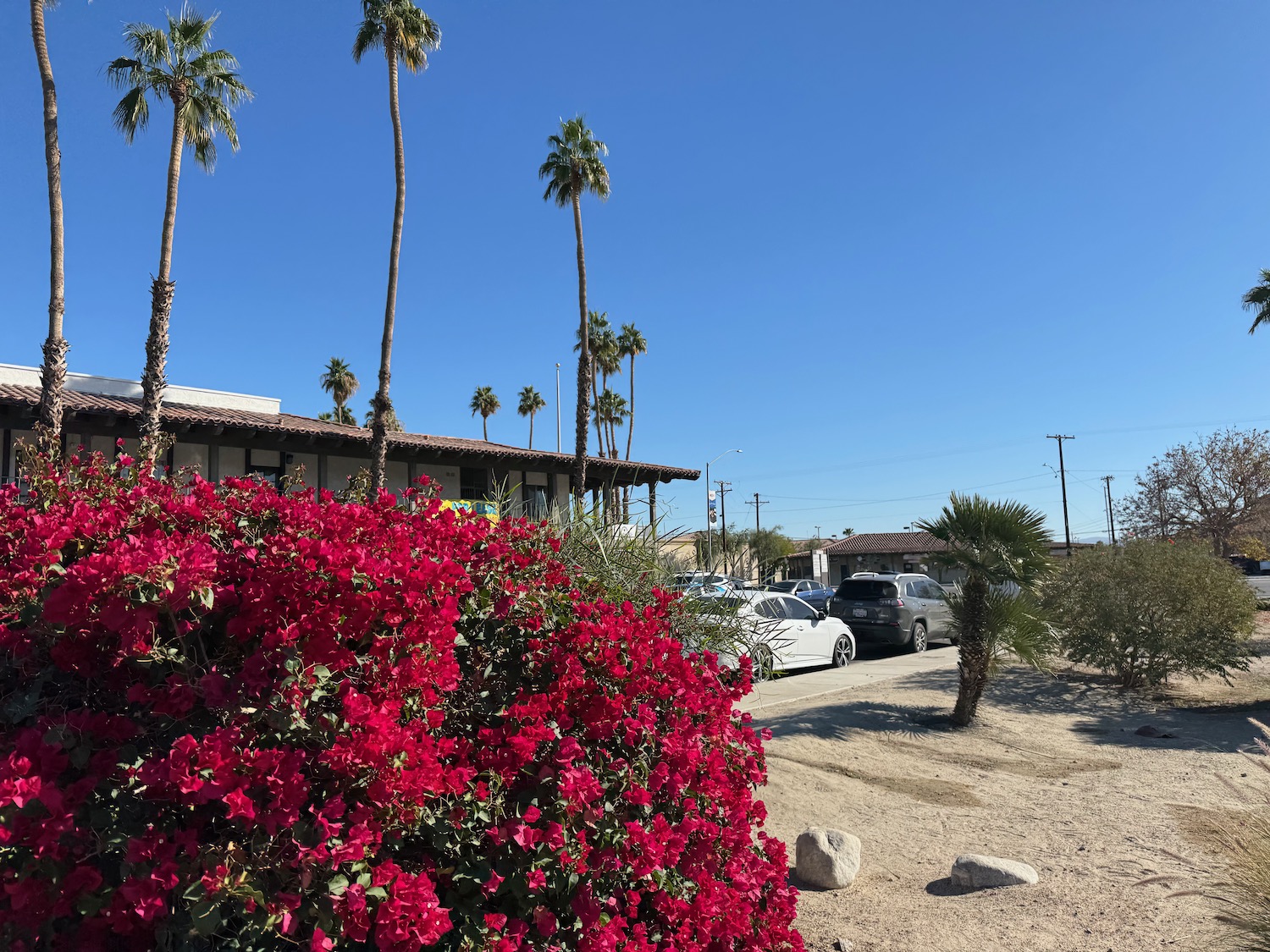 a red flowers next to a building