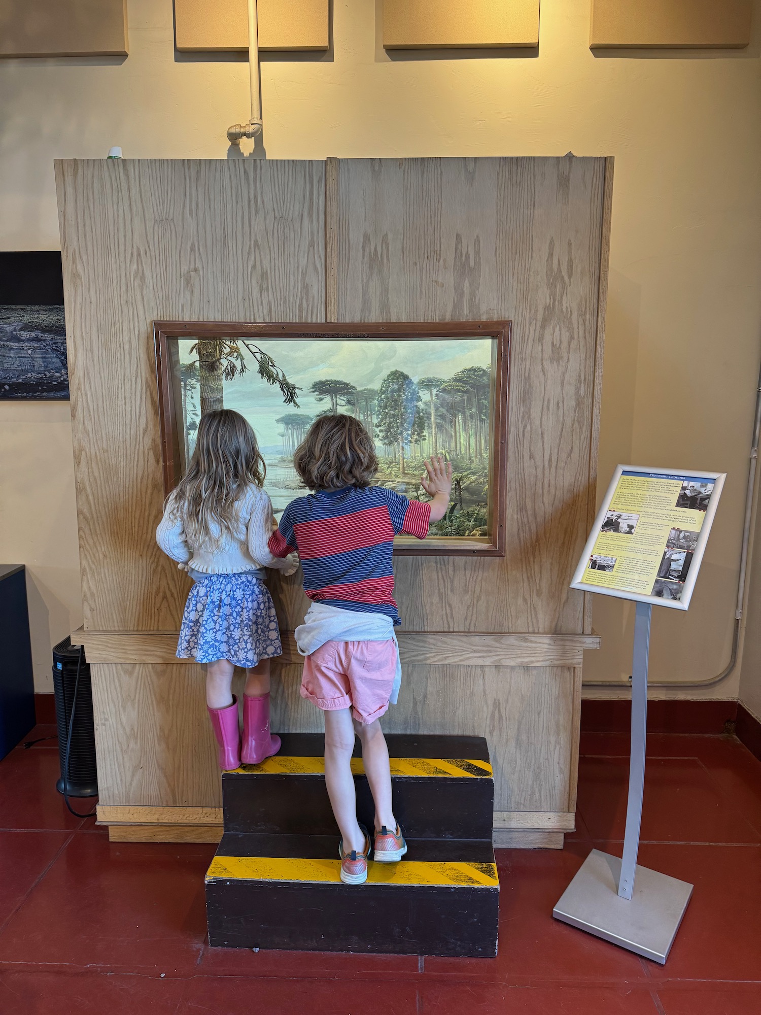 a boy and girl looking at a screen