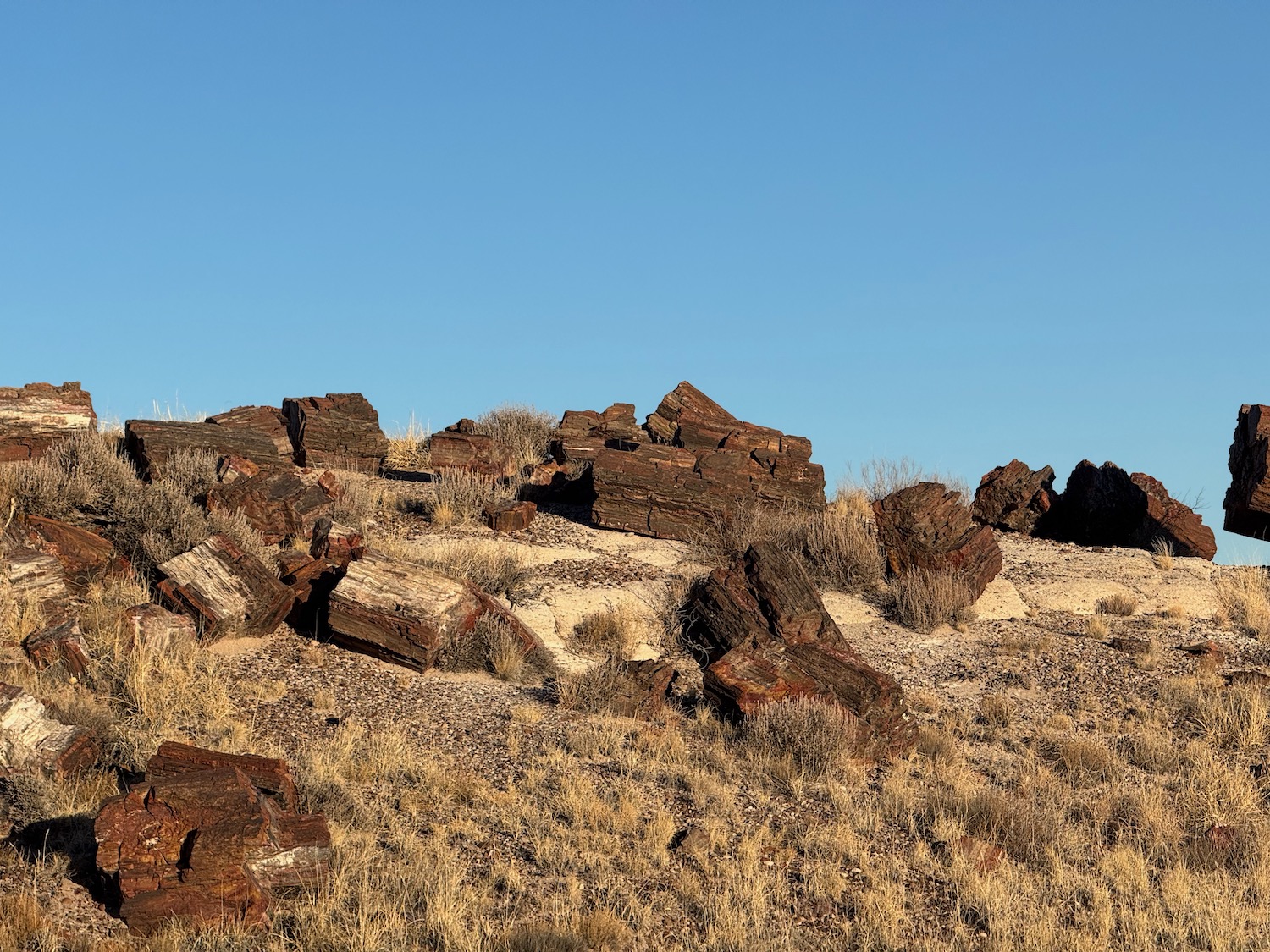 a pile of logs on a hill