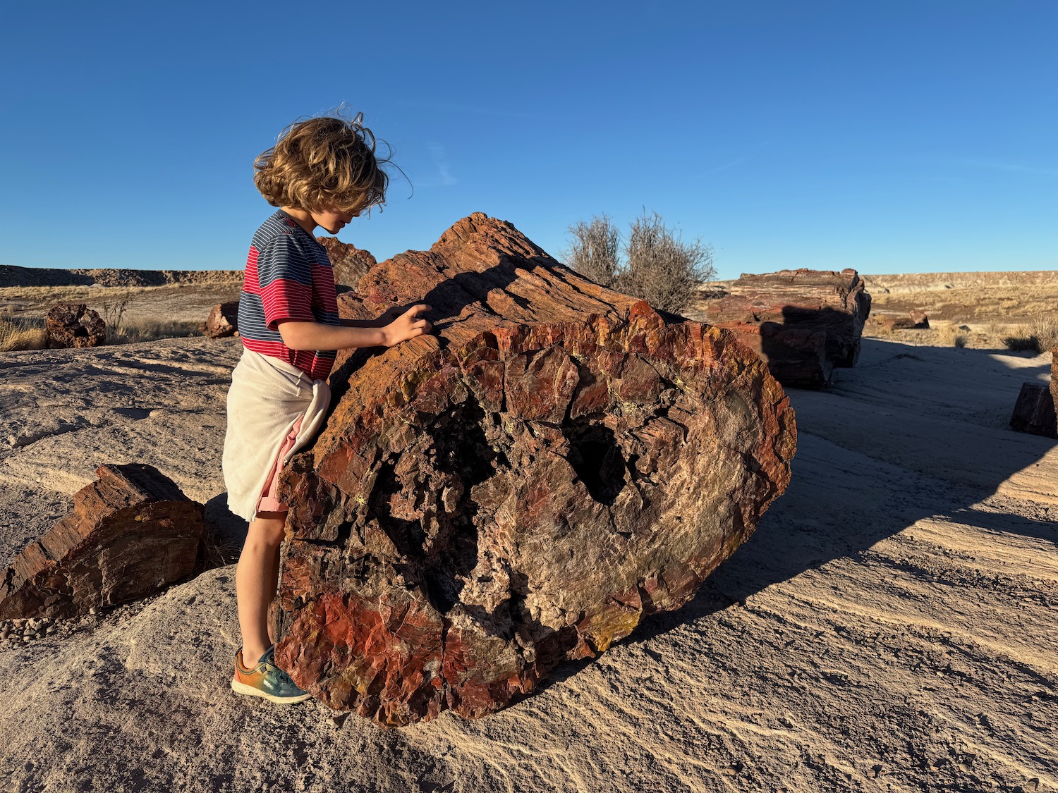 a child standing on a large log