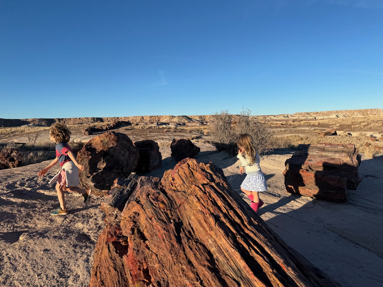 two children running in the desert