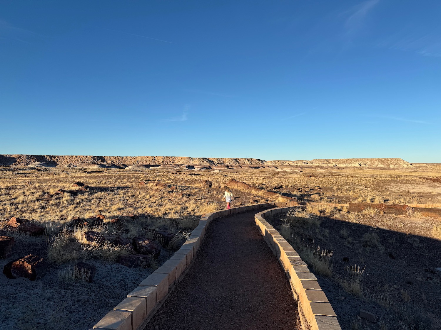 a person walking on a path in a desert