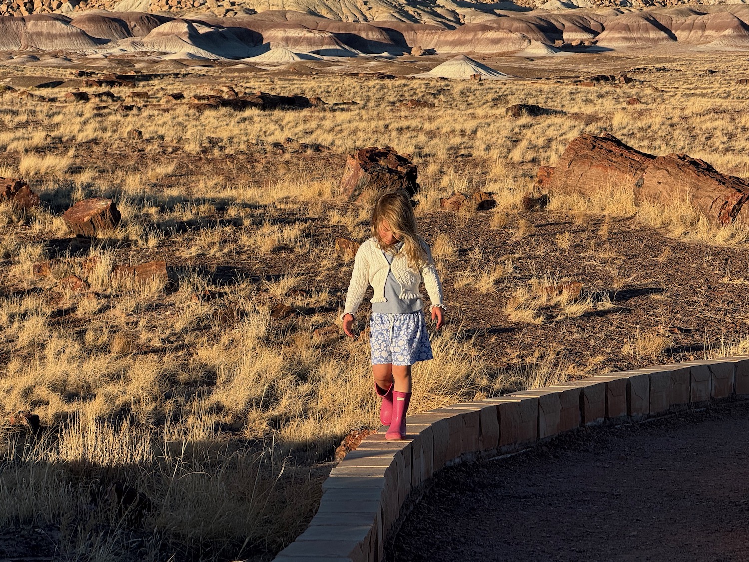 a girl walking on a wall in the desert