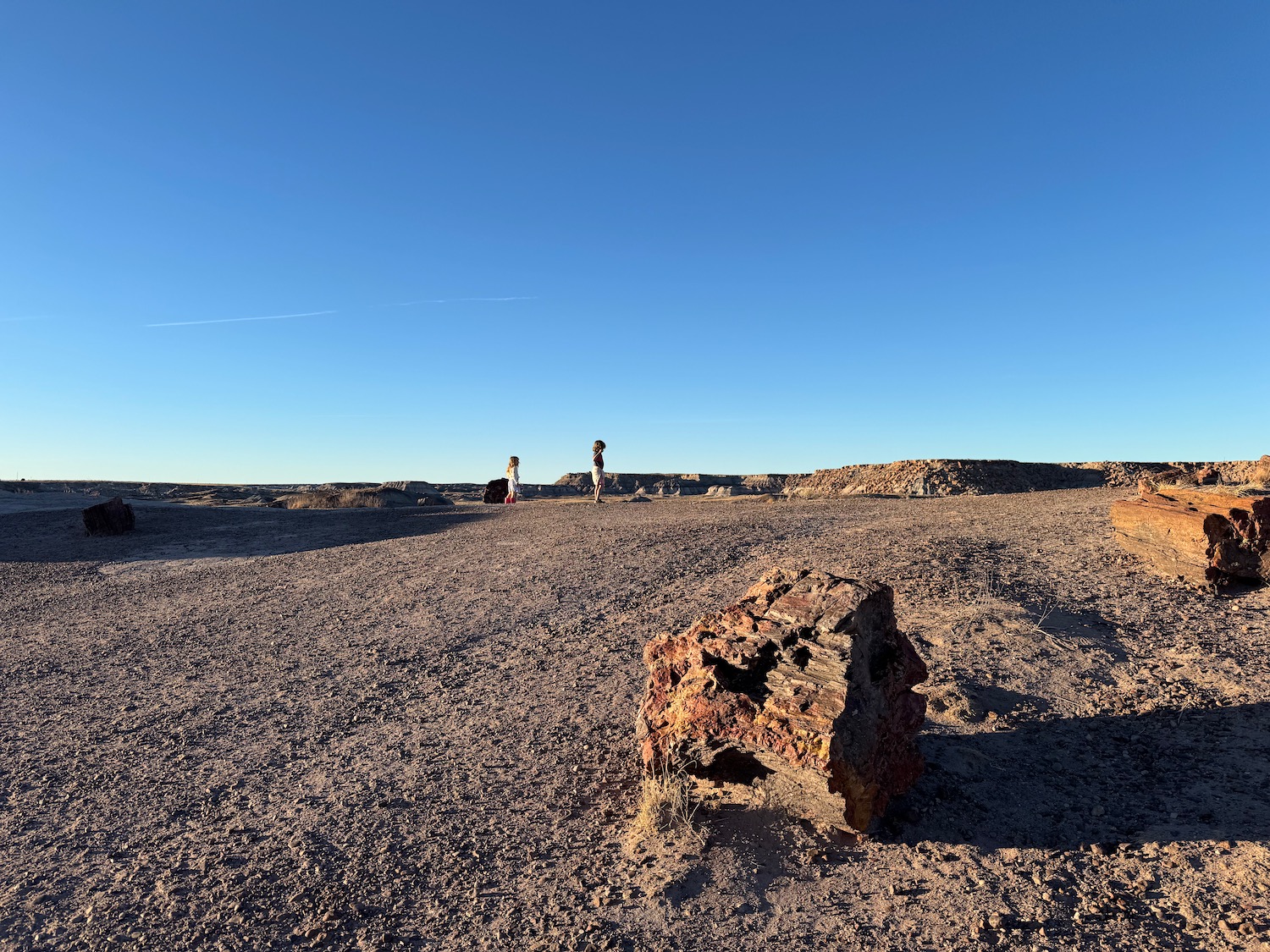 a rock in a desert