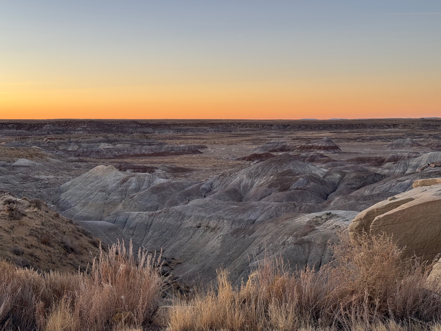 a landscape of a desert with dry grass and a sunset